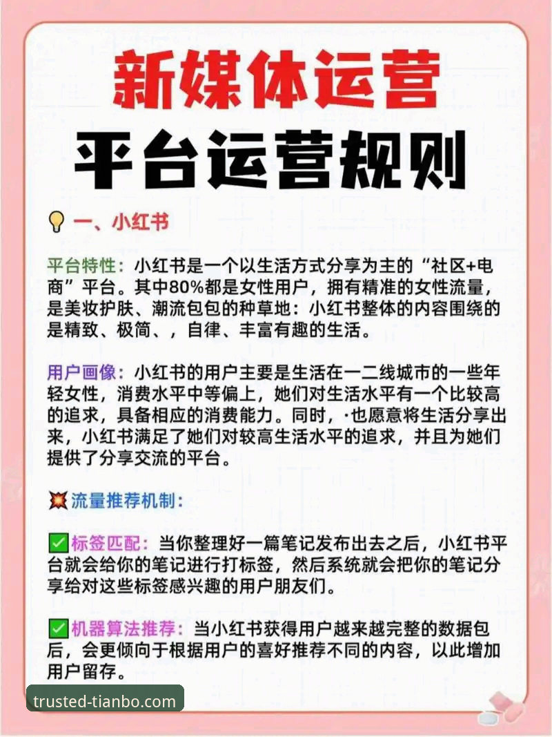 3步掌握天博信誉使用指南，开启高效安全娱乐之旅